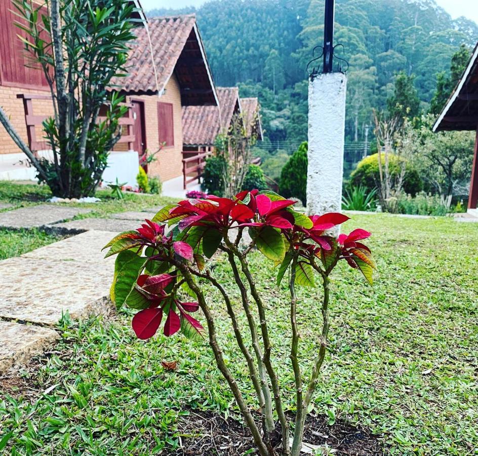 Chales Encantus Villa Monte Verde  Eksteriør bilde