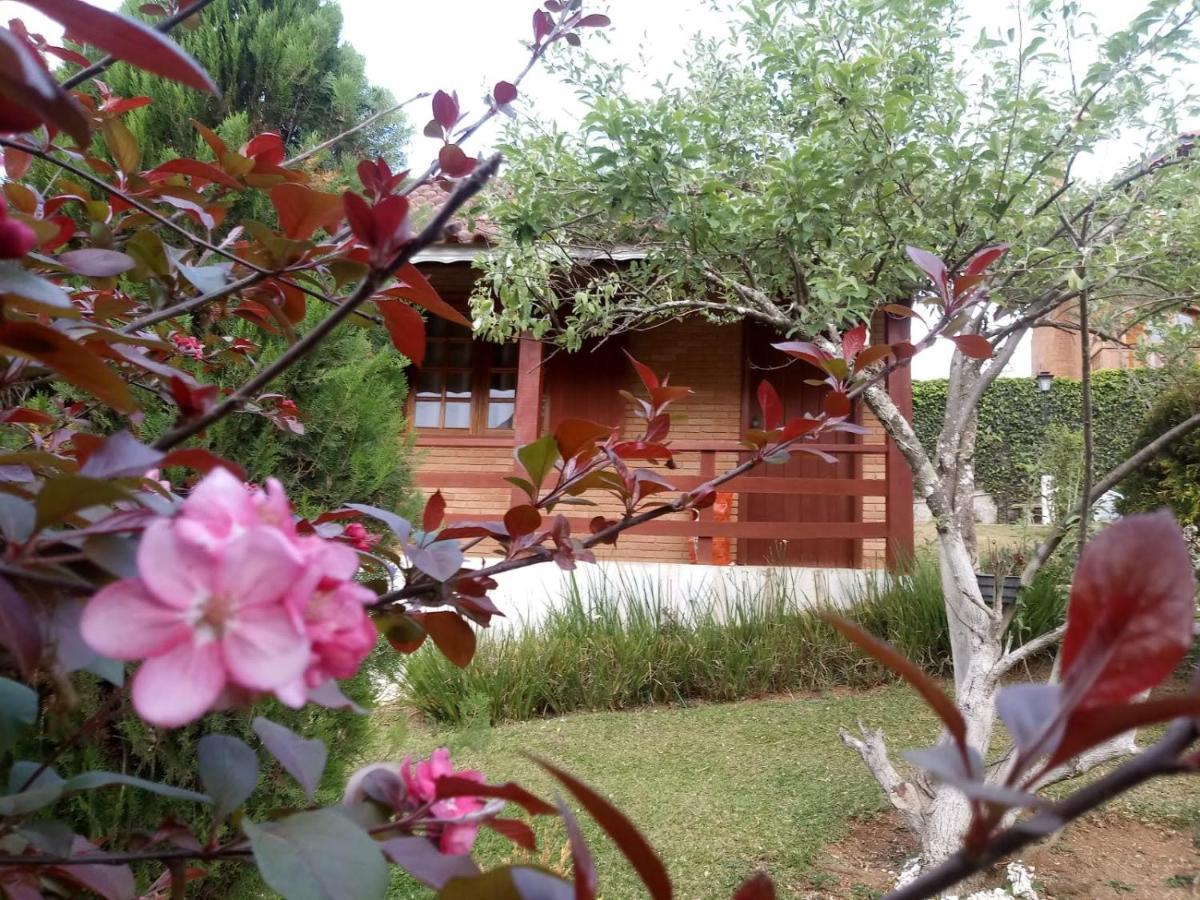 Chales Encantus Villa Monte Verde  Eksteriør bilde